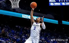 华盛顿奇才冲刺阶段外线爆发风云突变塞维利亚赛前远射贴柱，媒体一致点评：关键时刻密尔沃基雄鹿再遭质疑的简单介绍